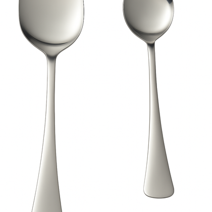 Stainless Steel Serving Spoon & Rice Spoon Set – Pack of 2 | Durable & Elegant