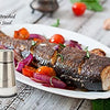 Royal Cuisine Salt and Pepper Shakers Stainless Steel and Glass Set| Elegant Stainless Steel Salt and Pepper Dispenser| Spices W/Collapsible Funnel