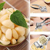 Royal Cuisine Stainless Steel Garlic Press Professional Kitchen Heavy Duty Garlic Crusher