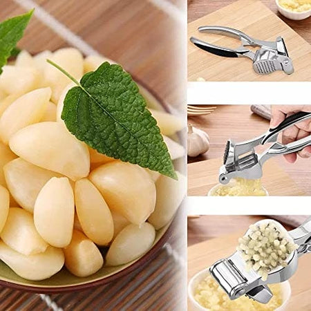 Royal Cuisine Stainless Steel Garlic Press Professional Kitchen Heavy Duty Garlic Crusher